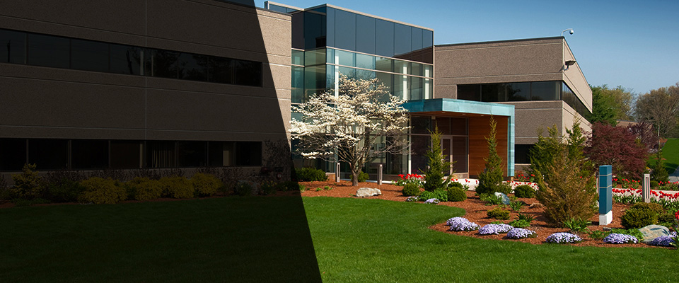 Pearl City Landscapers