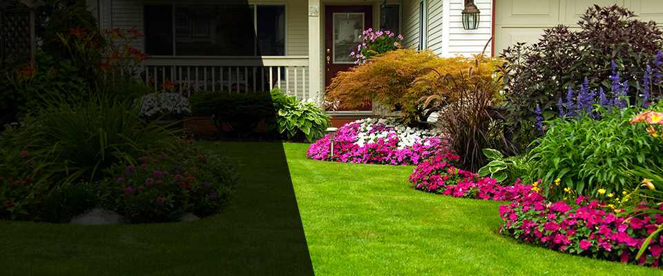 Pearl City Landscapers