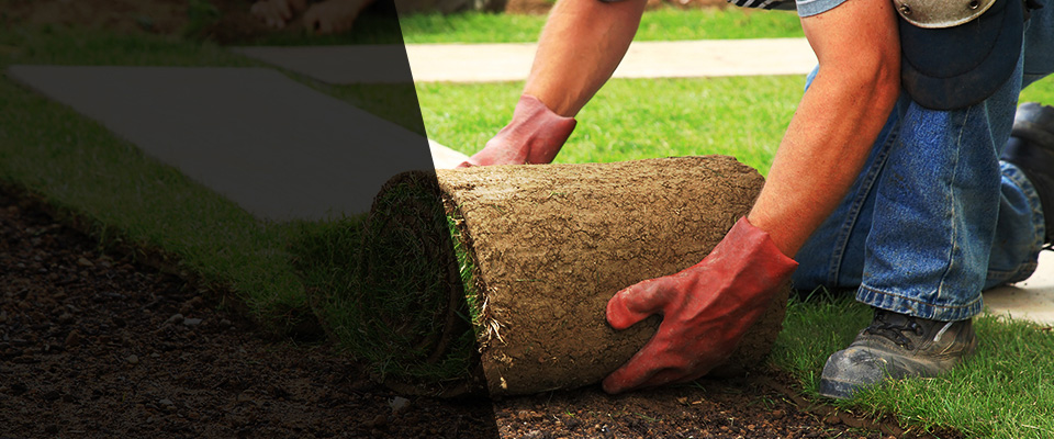 Pearl City Landscapers